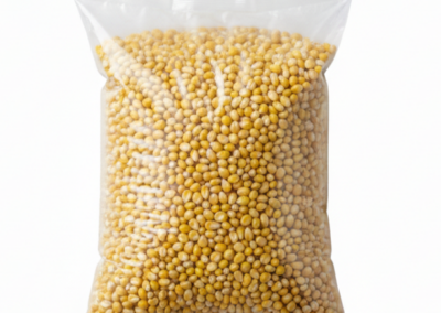 YELLOW MAIZE